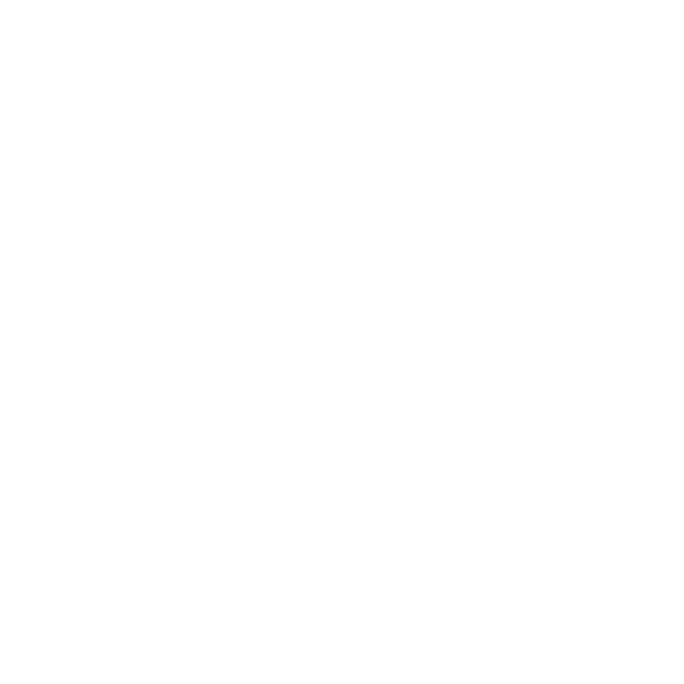 Stradivarius Logo